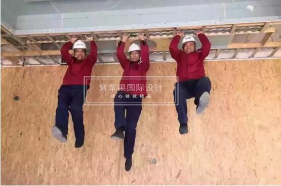 無錫紫蘋果裝飾