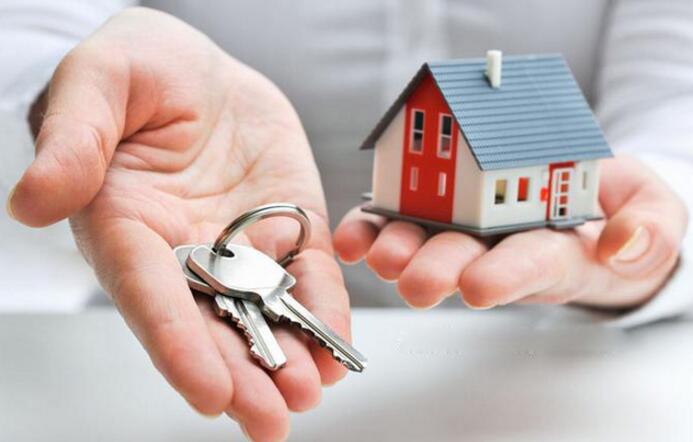 無(wú)錫紫蘋果裝飾