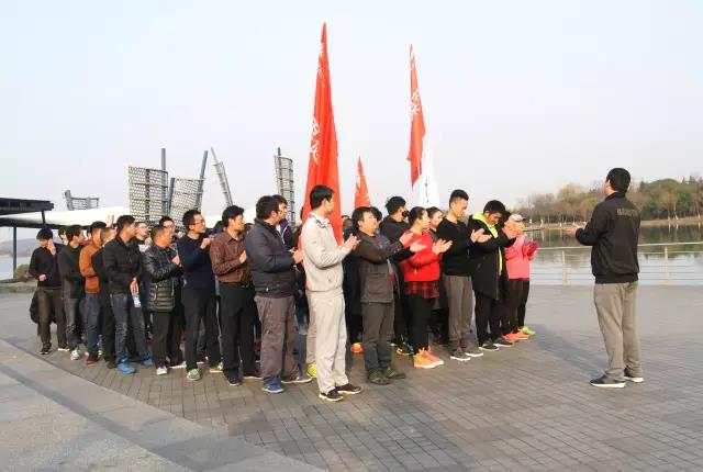 無錫紫蘋果裝飾