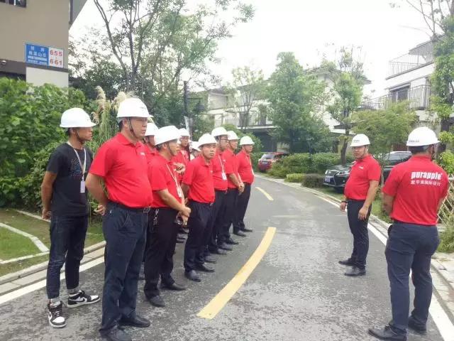 無錫紫蘋果裝飾