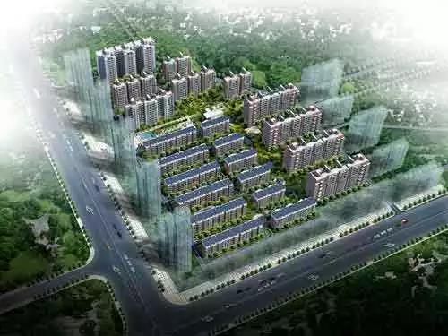 無錫紫蘋果裝飾