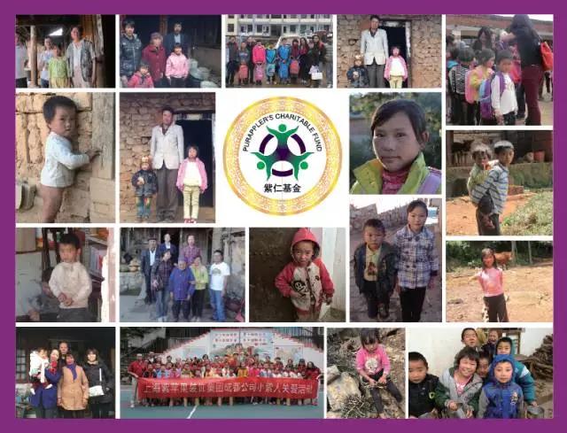 無錫紫蘋果裝飾