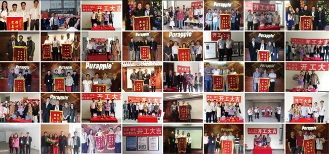 無錫紫蘋果裝飾