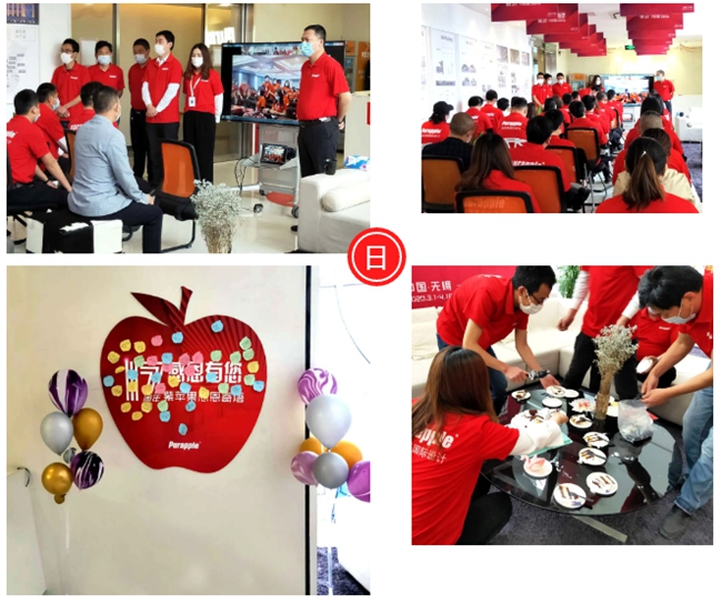 無錫紫蘋果裝飾