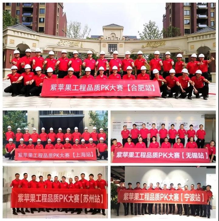 無錫紫蘋果裝飾