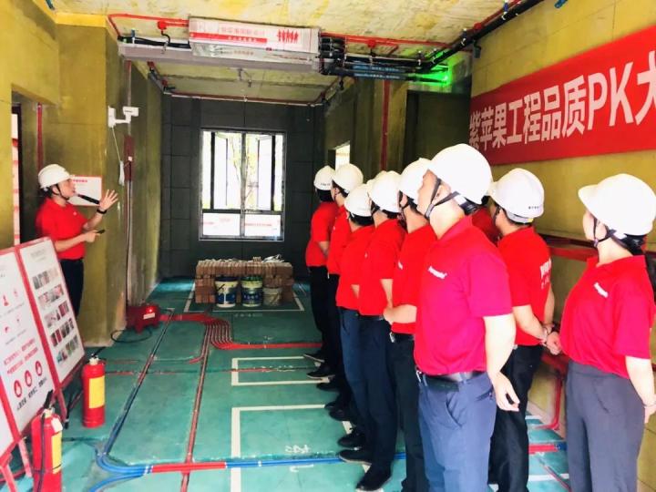 無錫紫蘋果裝飾