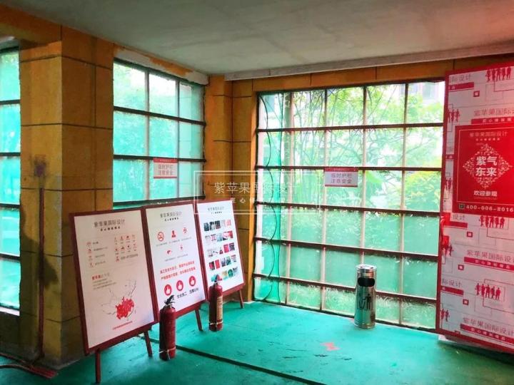 無錫紫蘋果裝飾